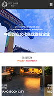 大唐不夜城 曲江文商 房地产 酒店 餐饮 娱乐 企业宣传 案例展示 硅峰网络 网站设计 软件开发 微信建设,西安最专业的企业信息化建设网络公司