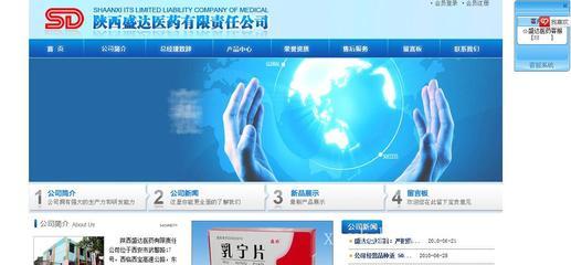 西安专业的网站建设,西安专业的网站优化,西安网站建设电话