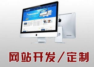 西安企业网站建设 西安营销推广网盟